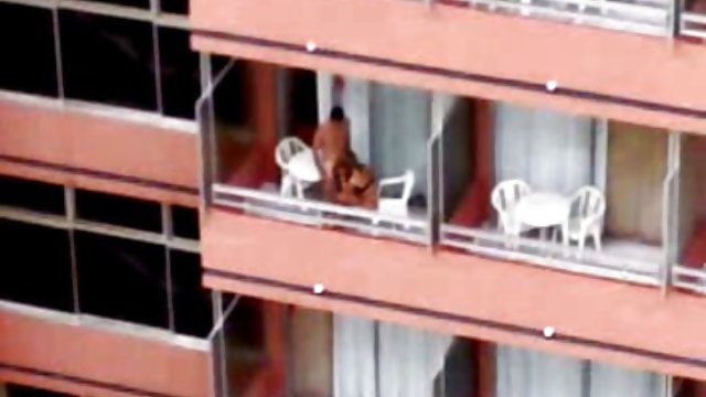 尼斯医生检查Layla的好猫